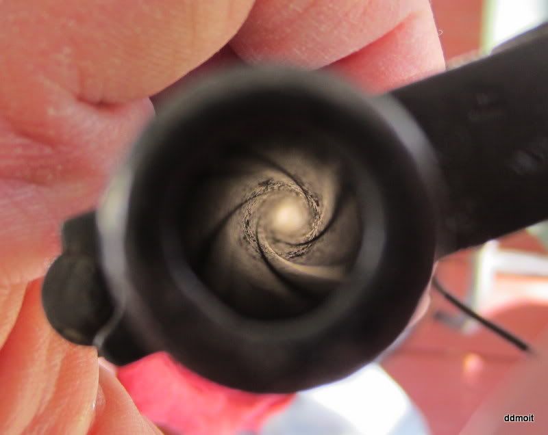 Pitted Barrel on SKS